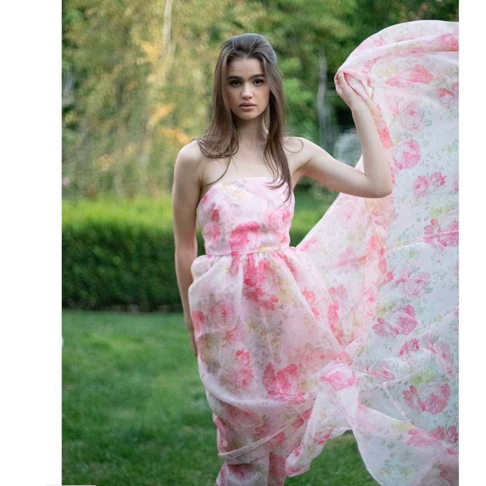 Maison Amory Fairytale Garden Floral High Whimsical Dress - Best fits 2X/3X